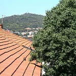 Dado Daire
