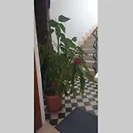 Dado Apartman